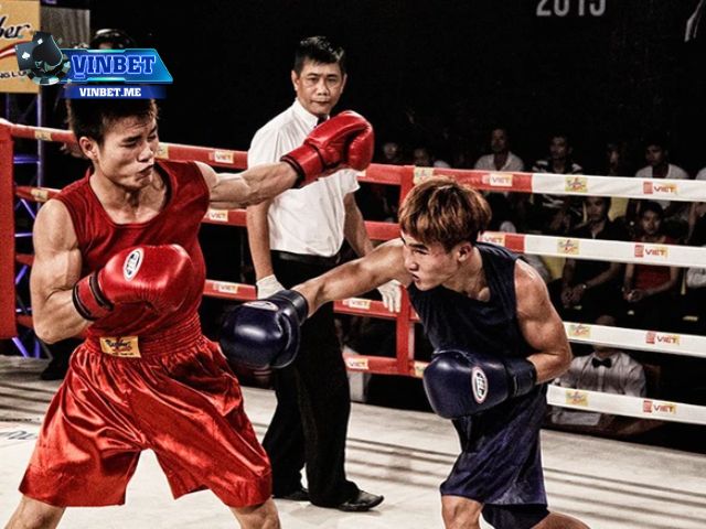 Nghiên cứu kỹ về những võ sĩ và trận đấu Boxing