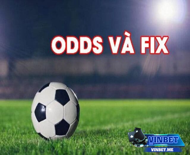 Cách đọc odds cùng fix chuẩn dành cho bet thủ mới vào nghề