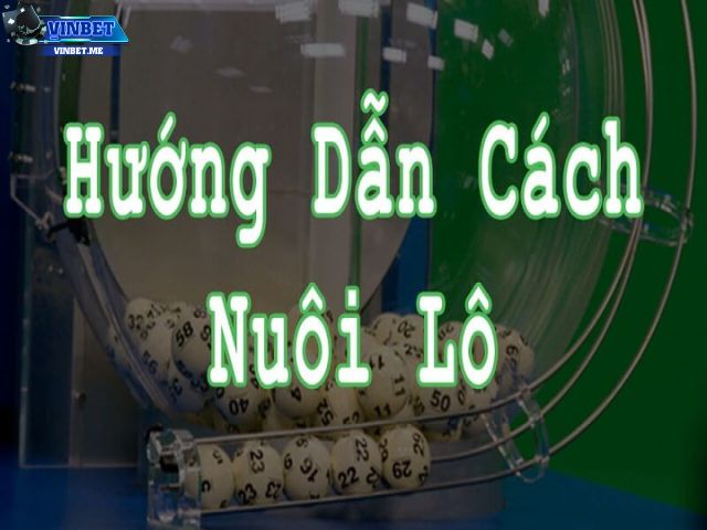 Cách nuôi lô chuẩn